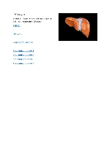 Digitalna vsebina dCOBISS (Leber : with Gall Bladder : K 25 [Predmet] = Liver = Foie)