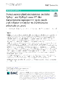 Digitalna vsebina dCOBISS (Prunus persica plant endogenous peptides PpPep1 and PpPep2 cause PTI-like transcriptome reprogramming in peach and enhance resistance to Xanthomonas arboricola pv. pruni [Elektronski vir])