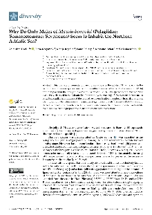 Digitalna vsebina dCOBISS (Why do only males of Mawia benovici (Pelagiidae: Semaeostomeae: Scyphozoa) seem to onhabit the Northern Adriatic sea [Elektronski vir])