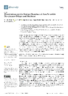 Digitalna vsebina dCOBISS (Observations on the surface structure of Aurelia solida (Scyphozoa) polyps and medusae [Elektronski vir])