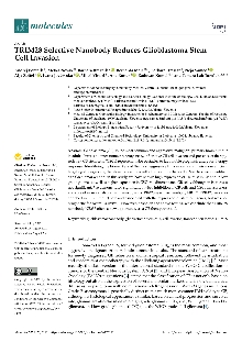 Digitalna vsebina dCOBISS (TRIM28 selective nanobody reduces glioblastoma stem cell invasion [Elektronski vir])