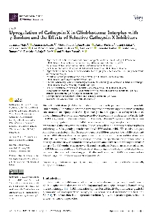 Digitalna vsebina dCOBISS (Upregulation of cathepsin X in glioblastoma [Elektronski vir] : interplay with γ-enolase and the effects of selective cathepsin X inhibitors)