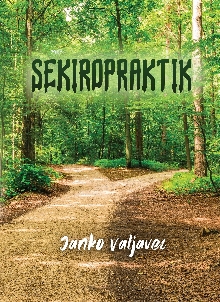 Sekiropraktik (cover)