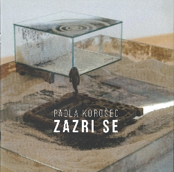 Zazri se : Galerija Velenje... (cover)