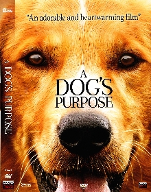 A dog's purpose; Videoposne... (naslovnica)