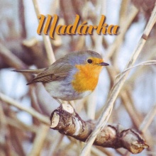 Madárka; Zvočni posnetek (cover)