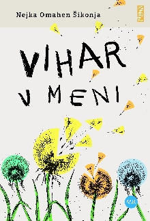 Vihar v meni; Elektronski vir (cover)