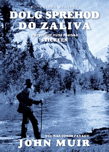 Dolg sprehod do zaliva; Ele... (cover)