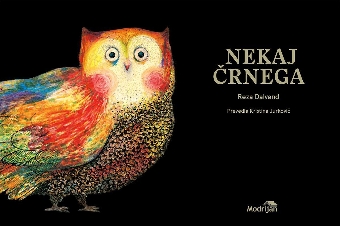 Nekaj črnega : slikanica iz... (naslovnica)