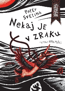 Nekaj je v zraku : zapiski ... (naslovnica)