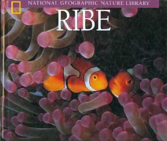 Ribe; Fish (cover)