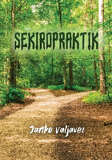 Sekiropraktik; Elektronski vir (naslovnica)