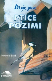 Moje prve ptice pozimi (cover)