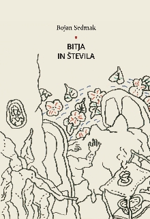 Bitja in števila; Elektrons... (cover)