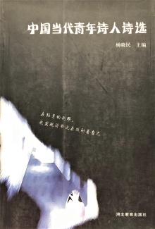 Zhongguo dang dai qing nian... (naslovnica)