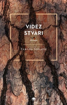 Videz stvari : roman (cover)