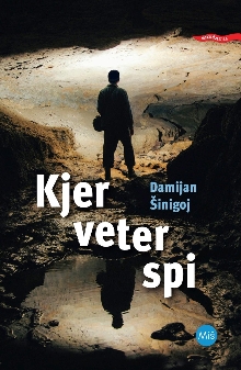 Kjer veter spi; Elektronski... (cover)