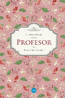 Profesor; Elektronski vir; ... (cover)