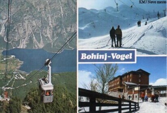 Bohinj - Vogel; Slikovno gr... (cover)