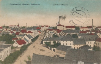 Freudenthal, Oesterr. Schle... (naslovnica)