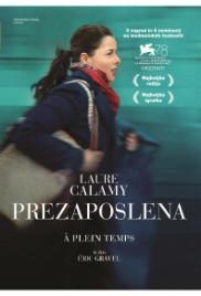 À plein temps; Videoposnete... (naslovnica)