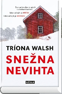 Snežna nevihta; The snowstorm (naslovnica)