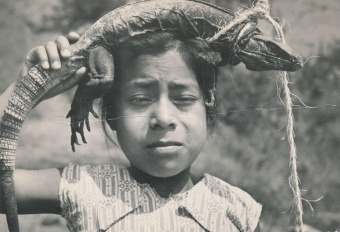 Niña con Iguana (1977); Sli... (naslovnica)