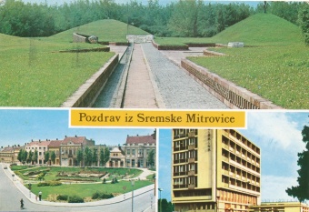 Pozdrav iz Sremske Mitrovic... (naslovnica)