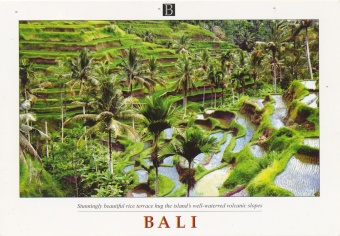 Bali; Slikovno gradivo : st... (naslovnica)
