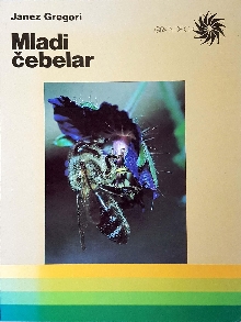 Mladi čebelar (cover)