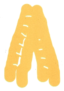  (naslovnica)