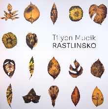  (cover)