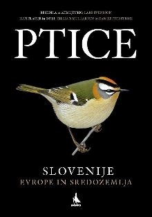  (cover)