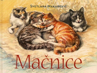 Mačnice (cover)