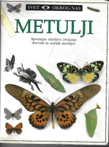 Metulji; Butterfly & moth (naslovnica)