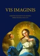 Vis imaginis : baročno slik... (cover)