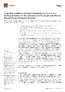 Controlled synthesis of nic... (cover)