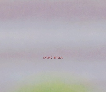 Dare Birsa : [2005-2007] (naslovnica)