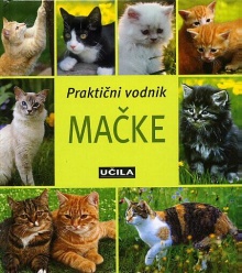 Mačke : priročnik; Katzen (naslovnica)