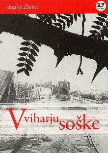 V viharju soške (cover)