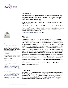 Skin cancer segmentation an... (cover)