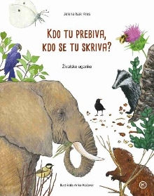  (cover)