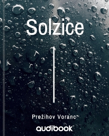 Solzice; Elektronski vir (cover)