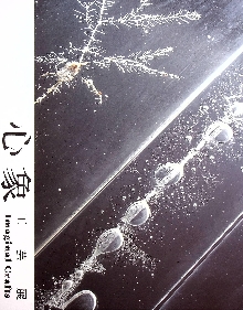  (cover)