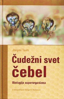 Čudežni svet čebel : biolog... (naslovnica)