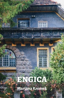 Engica; Elektronski vir (naslovnica)