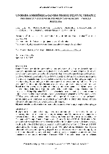 Uporaba ameriškega okvira p... (cover)