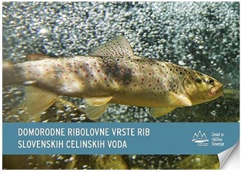 Domorodne ribolovne vrste r... (cover)