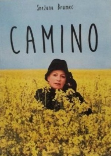 Camino (cover)