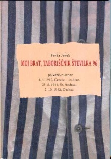 Moj brat, taboriščnik števi... (cover)